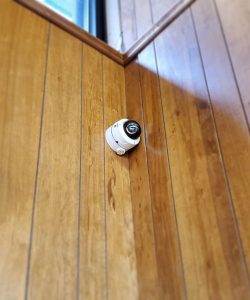 84488172_2821282944573881_7489900405483609213_n